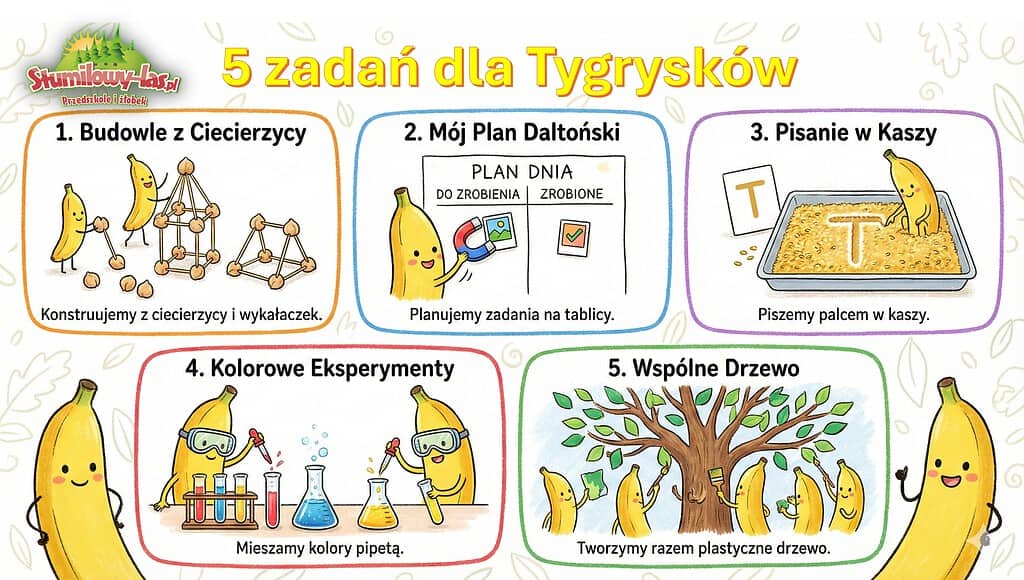 5 zadan dla Tygryskow